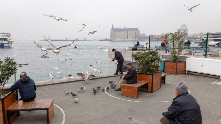 0a98b82383b7d98ea198256d05b027d57de105bca3eb3980eff1873212cd8f89