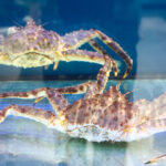 4958287e48892732243740079f973535f0725439c4061dc061e158b8cd0ffc1f