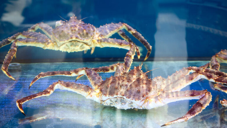 4958287e48892732243740079f973535f0725439c4061dc061e158b8cd0ffc1f