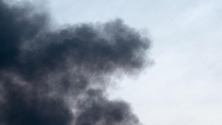 8f3b8d19ef009307da56c3491f812c55d3aaf8fc