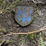 d88efa08dd00e171b50655861d6f250fb6c38a48c312e32e9fd953ceb69f1f97